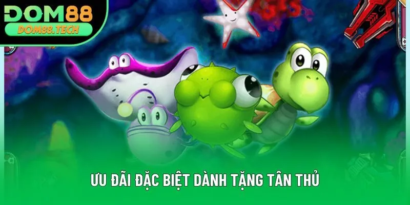 Ưu đãi đặc biệt dành tặng tân thủ