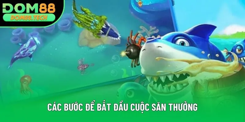 Các bước để bắt đầu cuộc săn thưởng