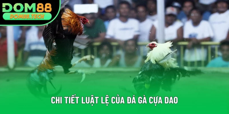 Chi tiết về luật lệ thi đấu của sản phẩm