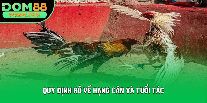 Có quy định rõ về hạng cần và tuổi tác