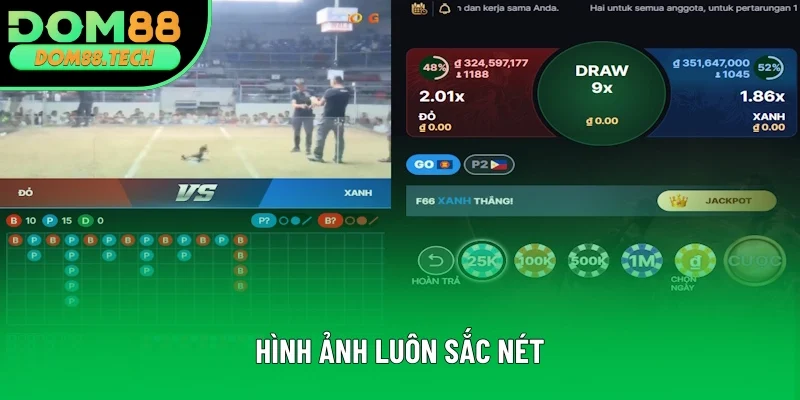 Hình ảnh từ phiên live luôn sắc nét
