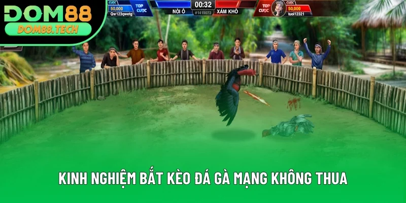 Những kinh nghiệm bắt kèo không thua