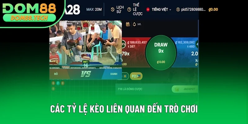 Những tỷ lệ kèo liên quan đến trò chơi