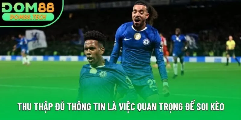 Thu thập đủ thông tin là việc quan trọng để soi kèo