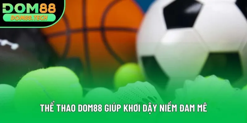 Thể thao DOM88 giúp khơi dậy niềm đam mê
