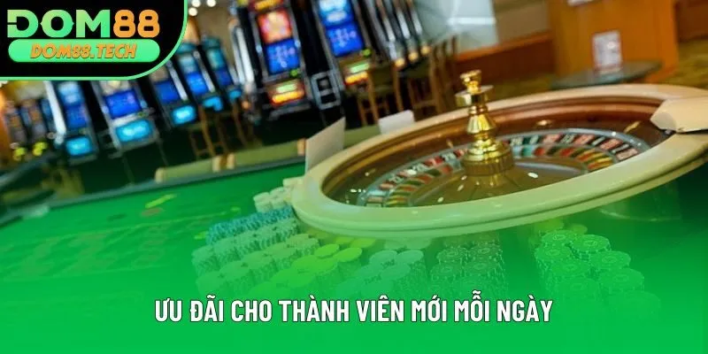Ưu đãi cho thành viên mới mỗi ngày